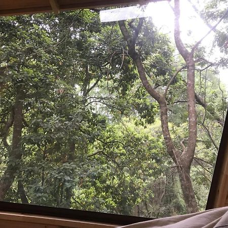Cabanas Bosques De Loncotraro Hotel Villarrica Luaran gambar