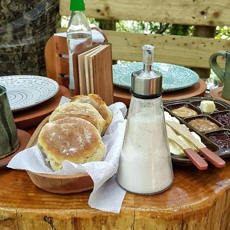 Cabanas Bosques De Loncotraro Hotel Villarrica Luaran gambar