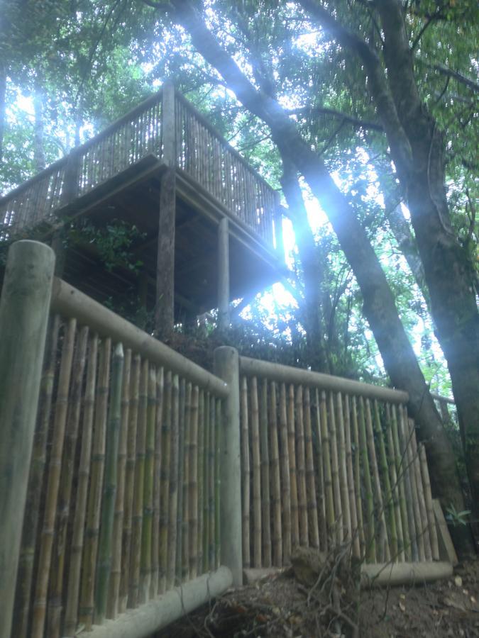 Cabanas Bosques De Loncotraro Hotel Villarrica Luaran gambar