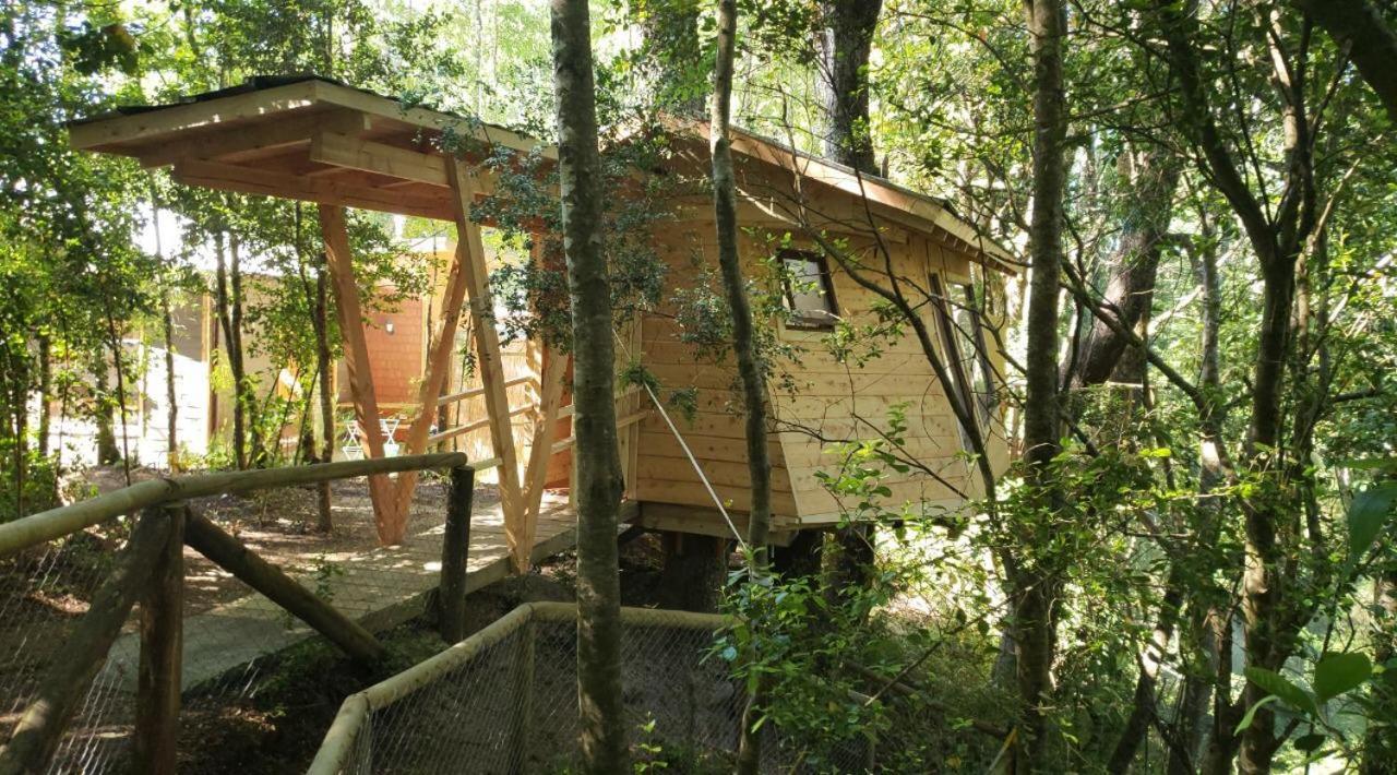Cabanas Bosques De Loncotraro Hotel Villarrica Luaran gambar