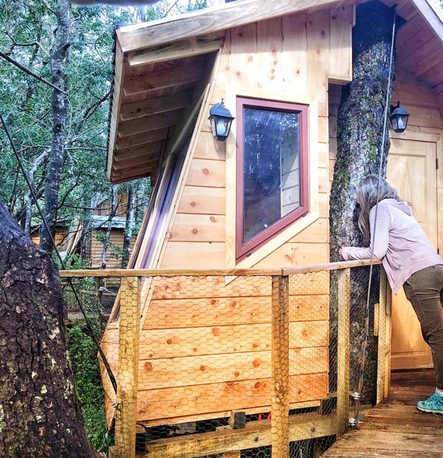 Cabanas Bosques De Loncotraro Hotel Villarrica Luaran gambar