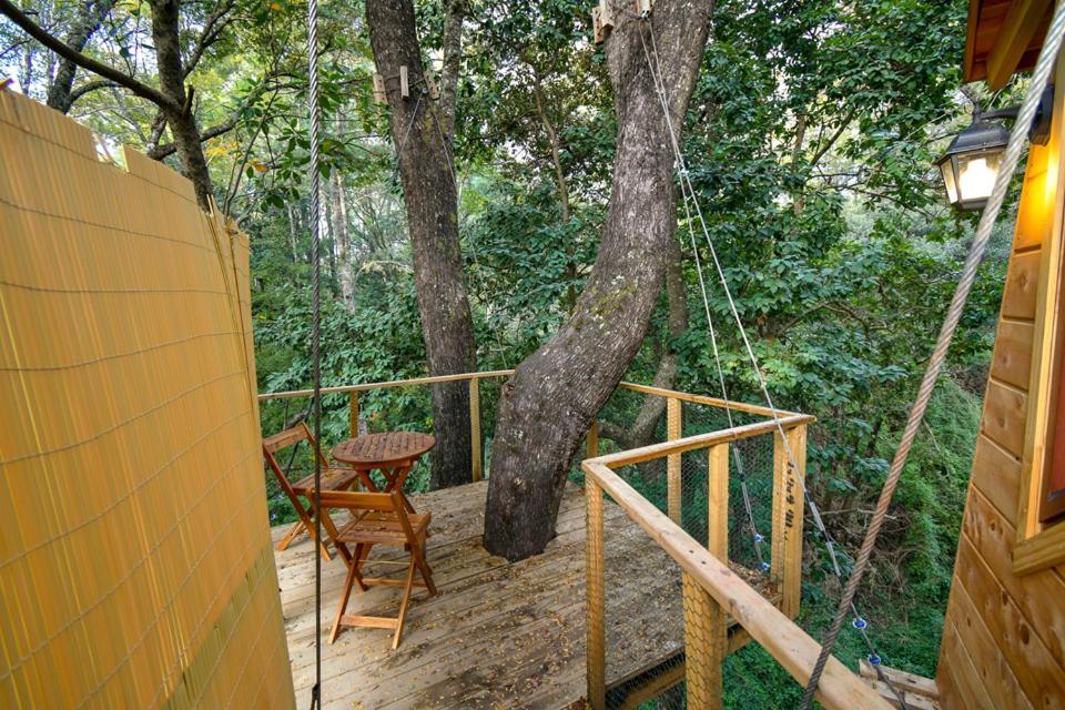 Cabanas Bosques De Loncotraro Hotel Villarrica Luaran gambar