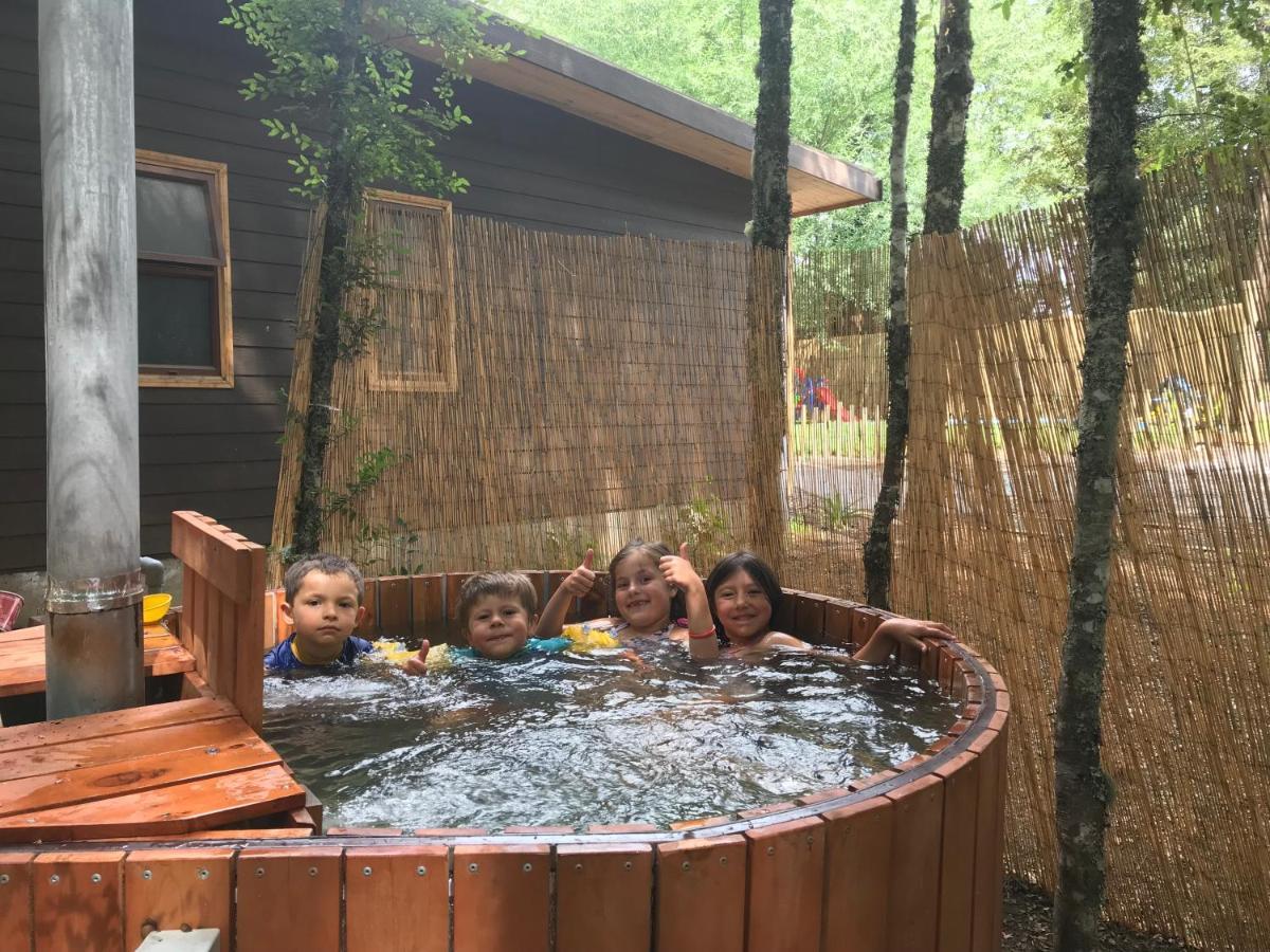 Cabanas Bosques De Loncotraro Hotel Villarrica Luaran gambar